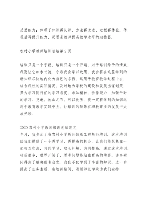 农村小学教师转正个人总结范文.docx