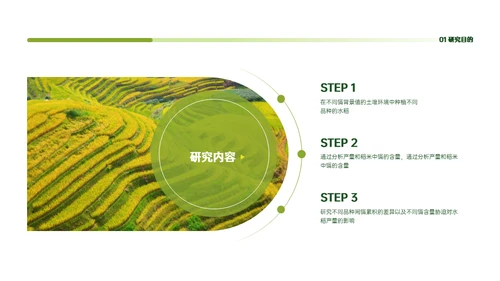 稻谷麦穗增产农作物与重金属污染通用PPT模板