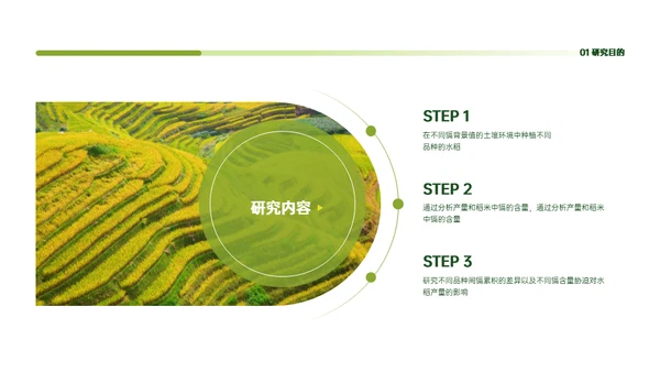 稻谷麦穗增产农作物与重金属污染通用PPT模板