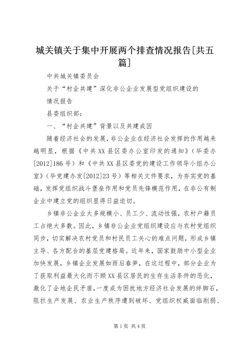 城关镇关于集中开展两个排查情况报告[共五篇] (3).docx