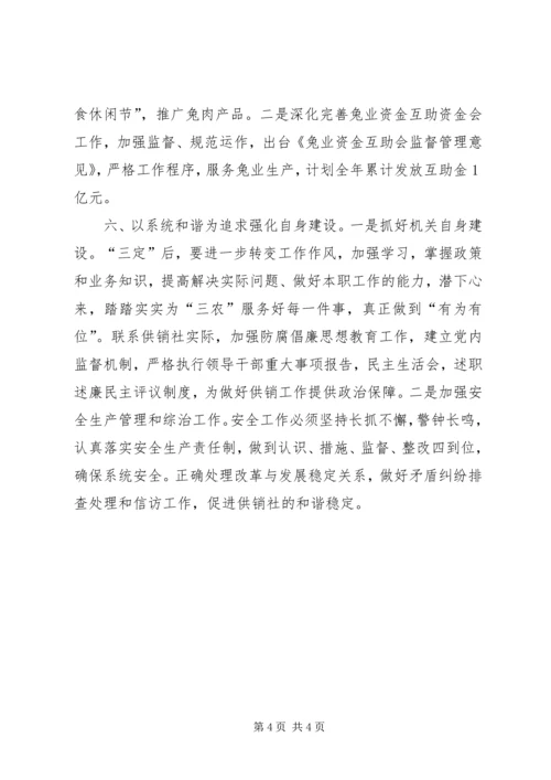 供销社年度工作思路 (4).docx