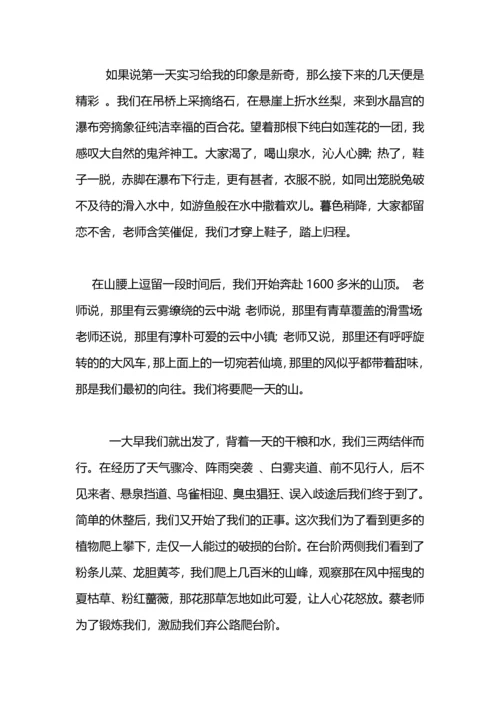 野外实习总结.docx