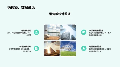 公司发展盘点与展望