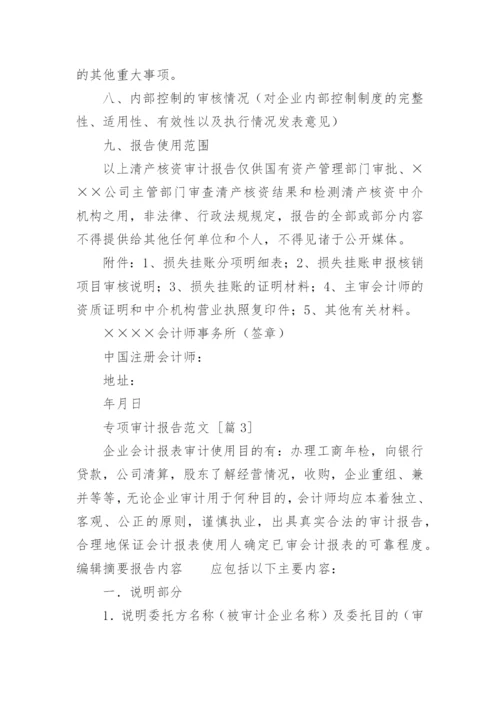 专项审计报告_12.docx