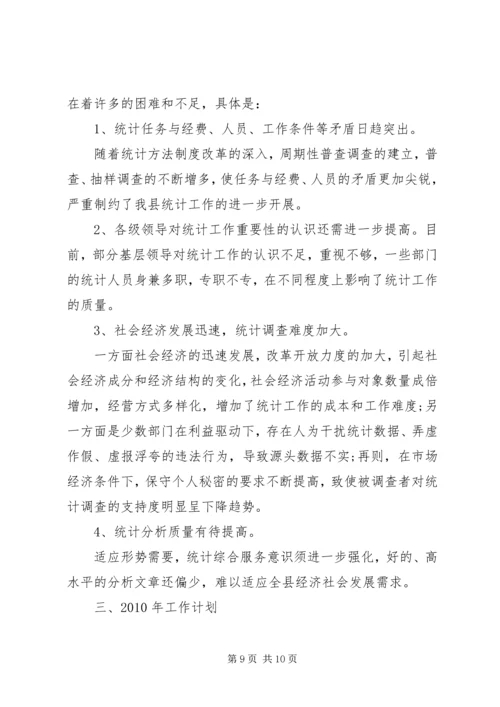 统计局年度工作总结及工作计划.docx