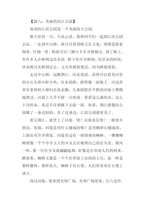 美丽的滨江公园作文.docx