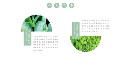 嫩绿树芽工作总结通用PPT模板