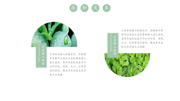 嫩绿树芽工作总结通用PPT模板
