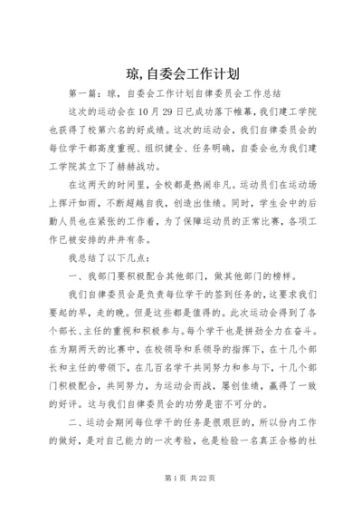 琼,自委会工作计划.docx