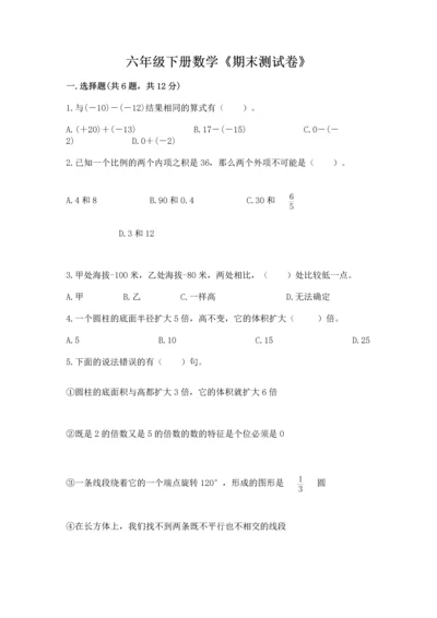 六年级下册数学《期末测试卷》精品【达标题】.docx