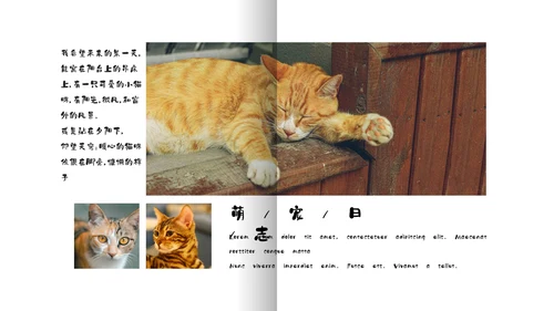 简约宠物萌宠画册电子相册通用PPT模板