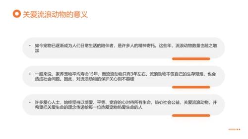 关爱流浪动物，流浪猫PPT模版