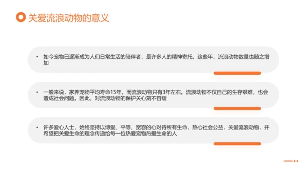关爱流浪动物，流浪猫PPT模版