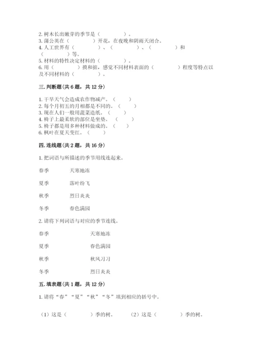 教科版小学二年级上册科学期末测试卷含答案【考试直接用】.docx