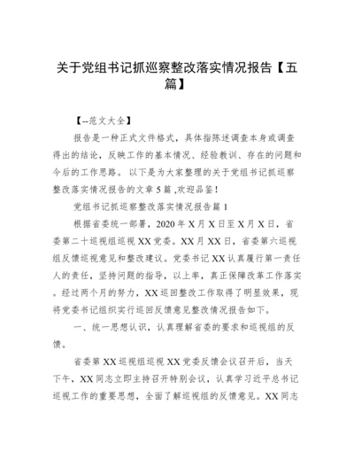 关于党组书记抓巡察整改落实情况报告【五篇】.docx