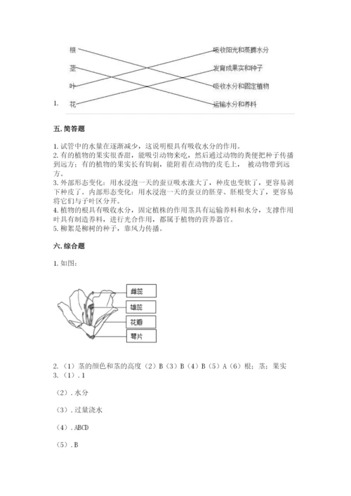 教科版科学四年级下册第一单元《植物的生长变化》测试卷【轻巧夺冠】.docx