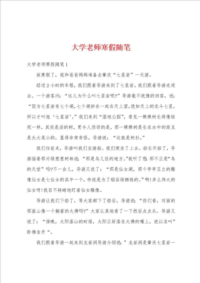 大学老师寒假随笔