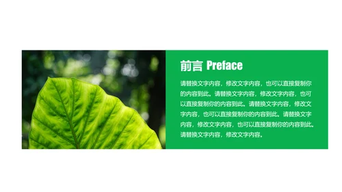 环保绿色森林林业管理工作汇报PPT模板