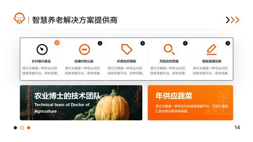 橙色商务风智慧养老商业计划书PPT模板