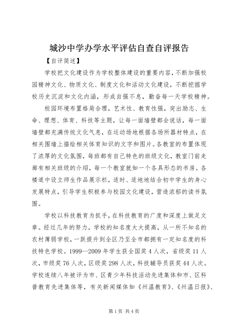 城沙中学办学水平评估自查自评报告.docx