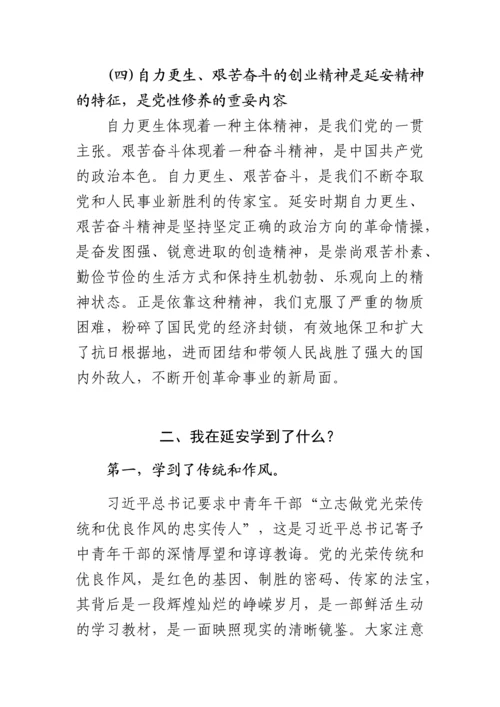 区委书记延安精神党课讲稿.docx