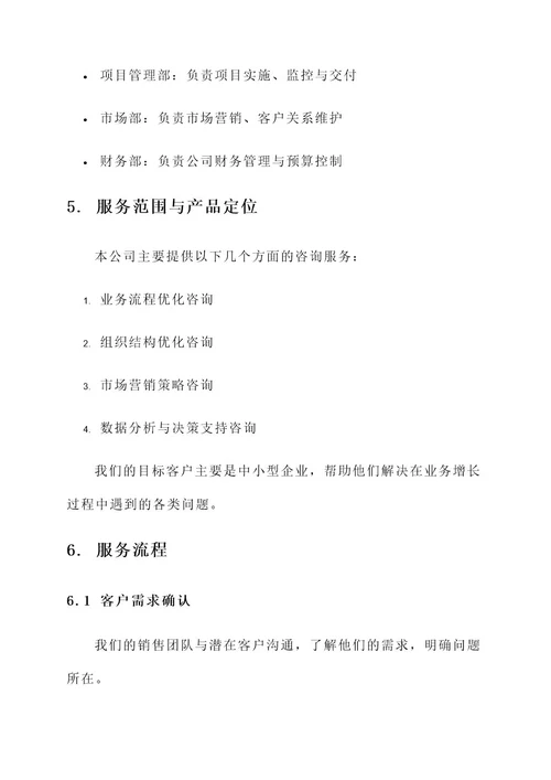 新成立公司运作方案