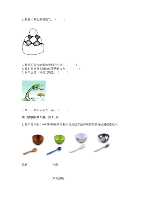 教科版科学二年级上册《期末测试卷》含完整答案（考点梳理）.docx