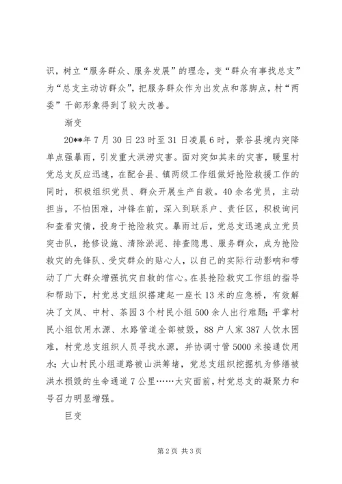 村党总支晋位升级典型材料.docx