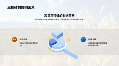 农业项目经验解析