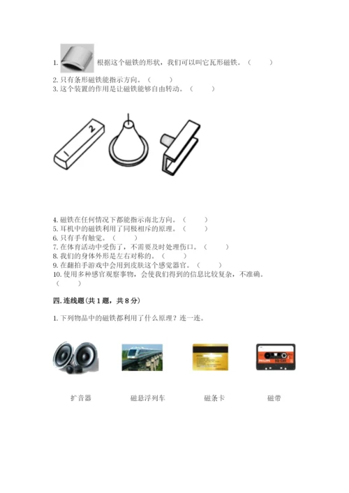 教科版小学科学二年级下册 期末测试卷（巩固）.docx