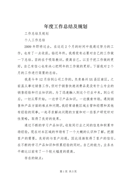 年度工作总结及规划 (2).docx