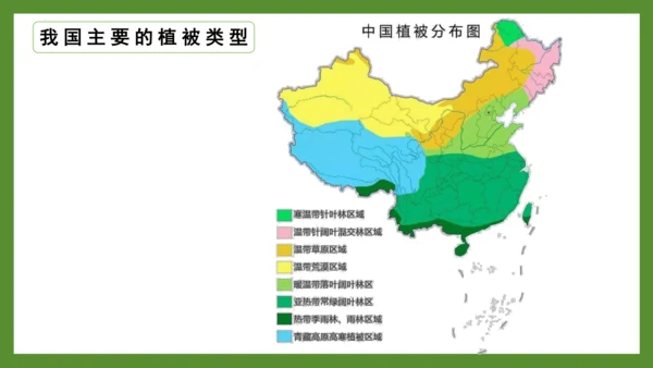 3.6 爱护植被，绿化祖国2023-2024学年七年级生物上册精品课件（人教版）(共21张PPT)