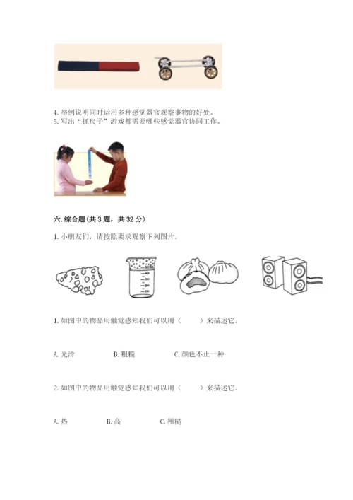 教科版小学科学二年级下册期末测试卷（综合卷）.docx