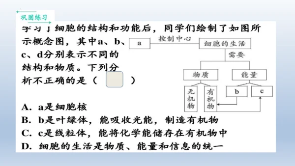人教版生物七年级上册第一单元《生物与细胞》单元复习课件(共53张PPT)