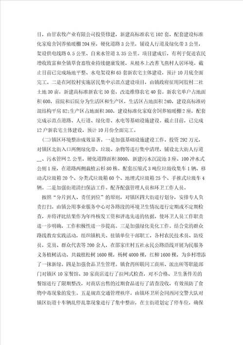 乡镇环境卫生整治工作总结7篇