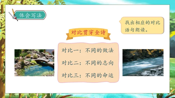 【核心素养】部编版语文三年级下册-8. 池子与河流（课件）