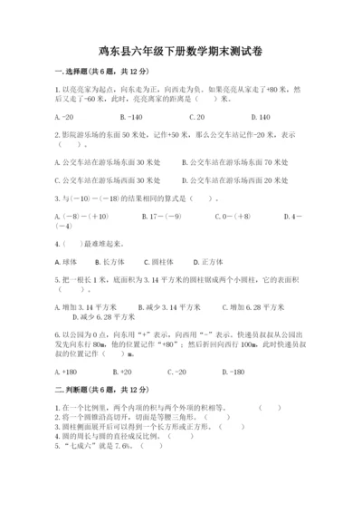 鸡东县六年级下册数学期末测试卷（名校卷）.docx