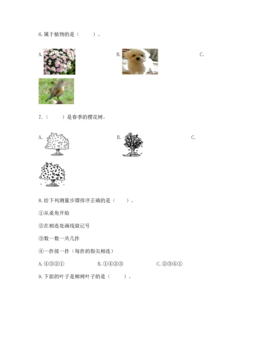 教科版科学一年级上册期末测试卷word版.docx