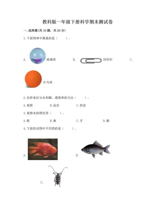 教科版一年级下册科学期末测试卷【突破训练】.docx