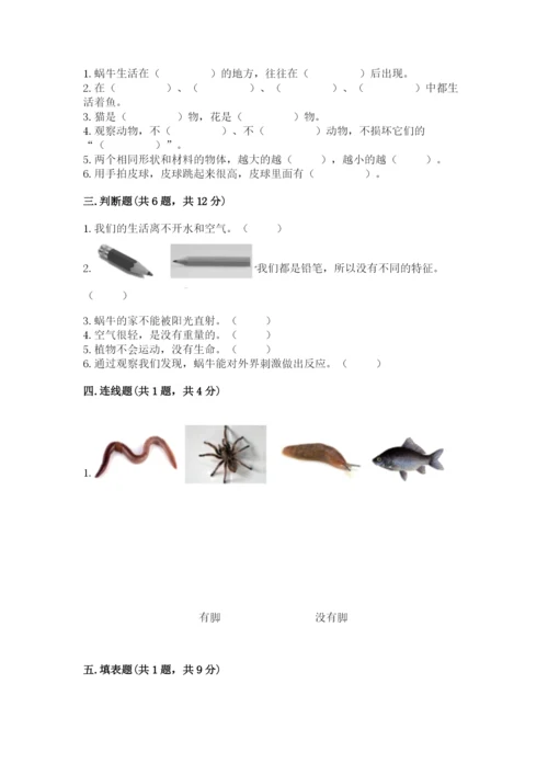 教科版一年级下册科学期末测试卷含完整答案【网校专用】.docx