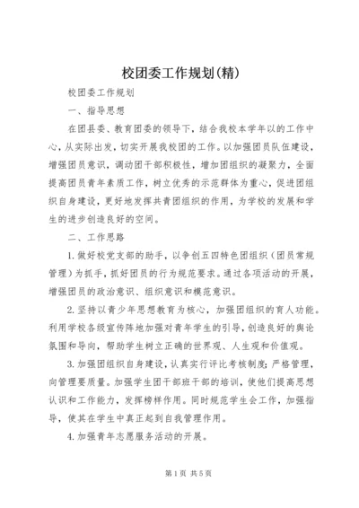 校团委工作规划(精).docx