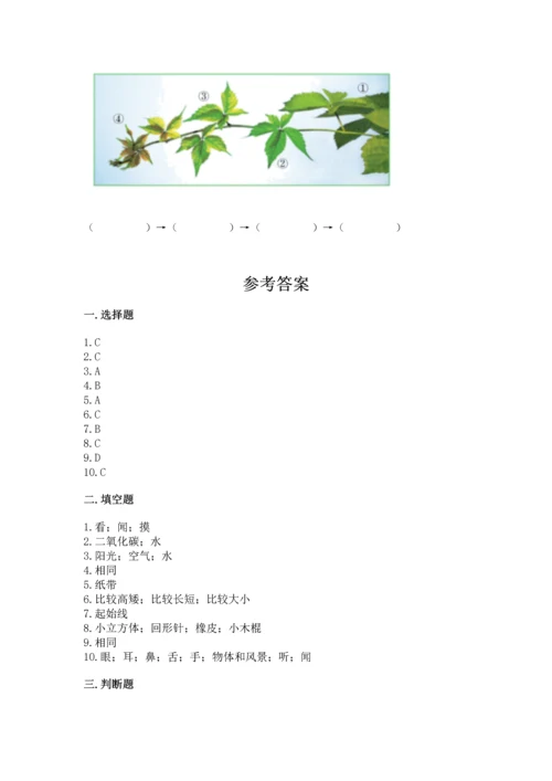 教科版科学一年级上册期末测试卷及完整答案（夺冠系列）.docx