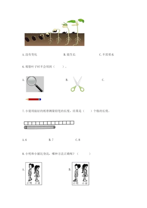 教科版一年级上册科学期末测试卷带下载答案.docx