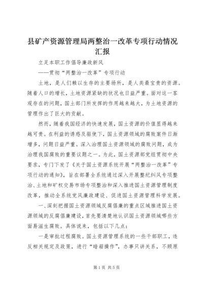 县矿产资源管理局两整治一改革专项行动情况汇报 (4).docx