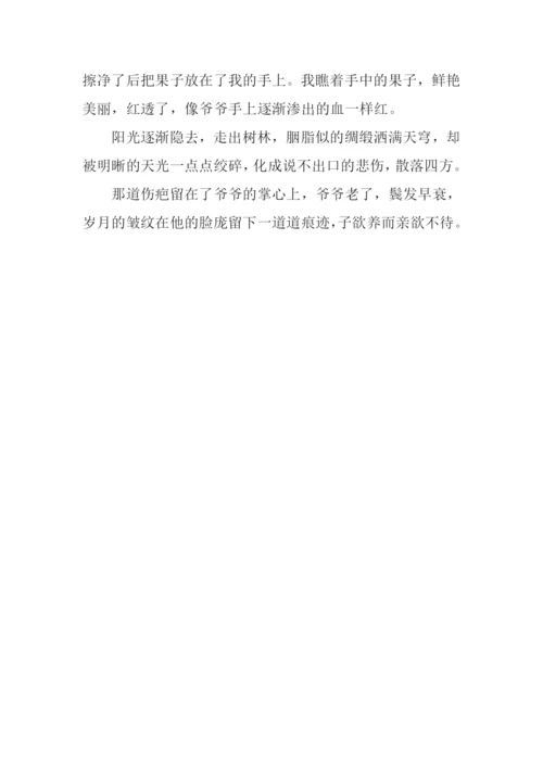 子欲养而亲欲不待作文600字.docx