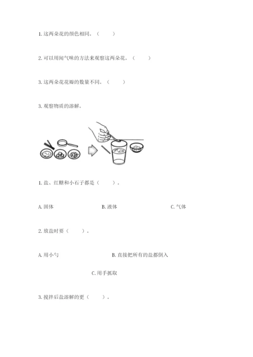 教科版一年级下册科学期末测试卷及参考答案【夺分金卷】.docx