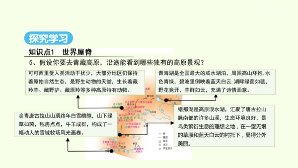 9.1 自然特征与农业（课件30张）- 人教版地理八年级下册