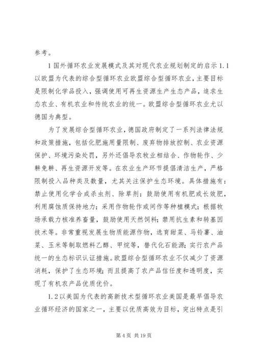 现代化农业规划理论探讨.docx