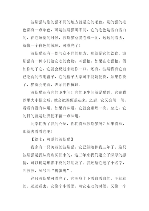 波丝猫作文0.docx