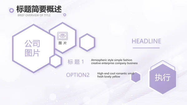 紫色梦幻医美商业计划书动态PPT